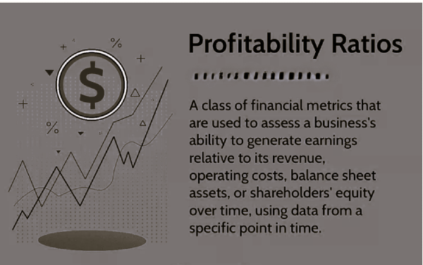 Profitability Ratios