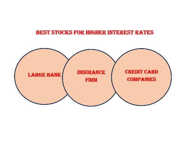 Best Stocks for Higher Interest Rates