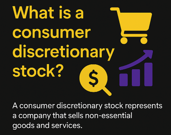 What are Consumer Discretionary Stocks