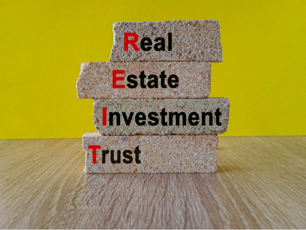 Real estate investment trusts (REITs)